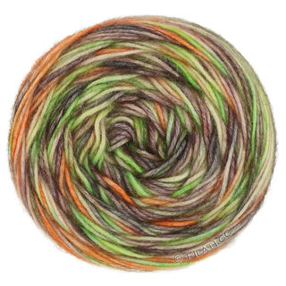 Lana Grossa ECOPUNO Hand-dyed