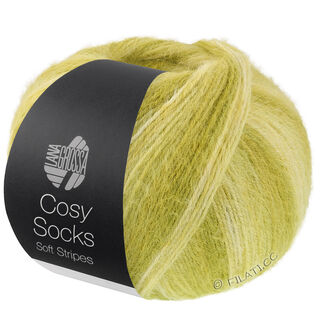 Lana Grossa MEILENWEIT 100g Cosy Socks Soft Stripes