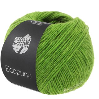 Lana Grossa ECOPUNO